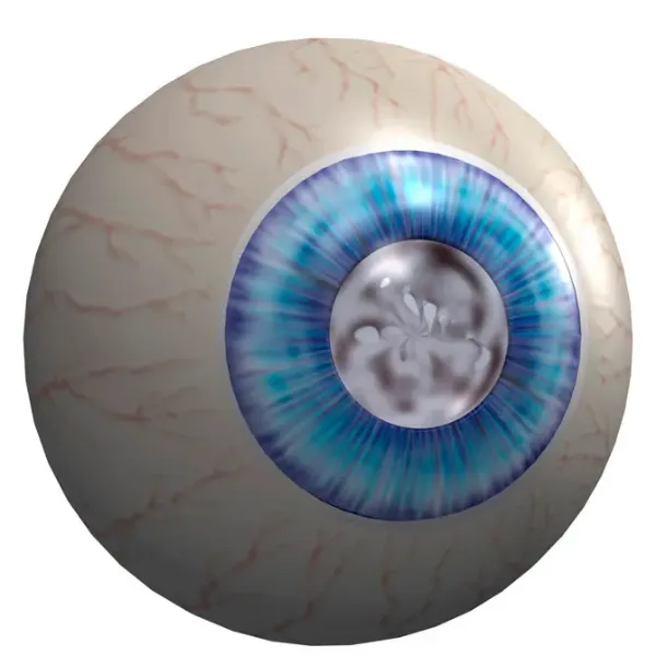 Glaucoma-Management